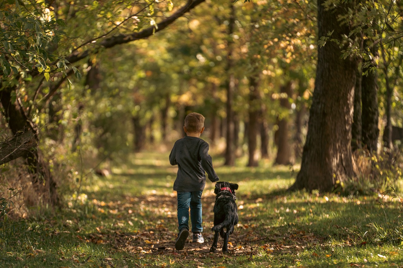 a dog and a boy running in a forest